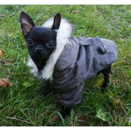 manteau chien capuche