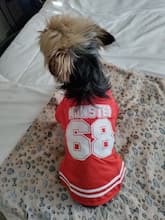 maillot sport monster pour petit chien